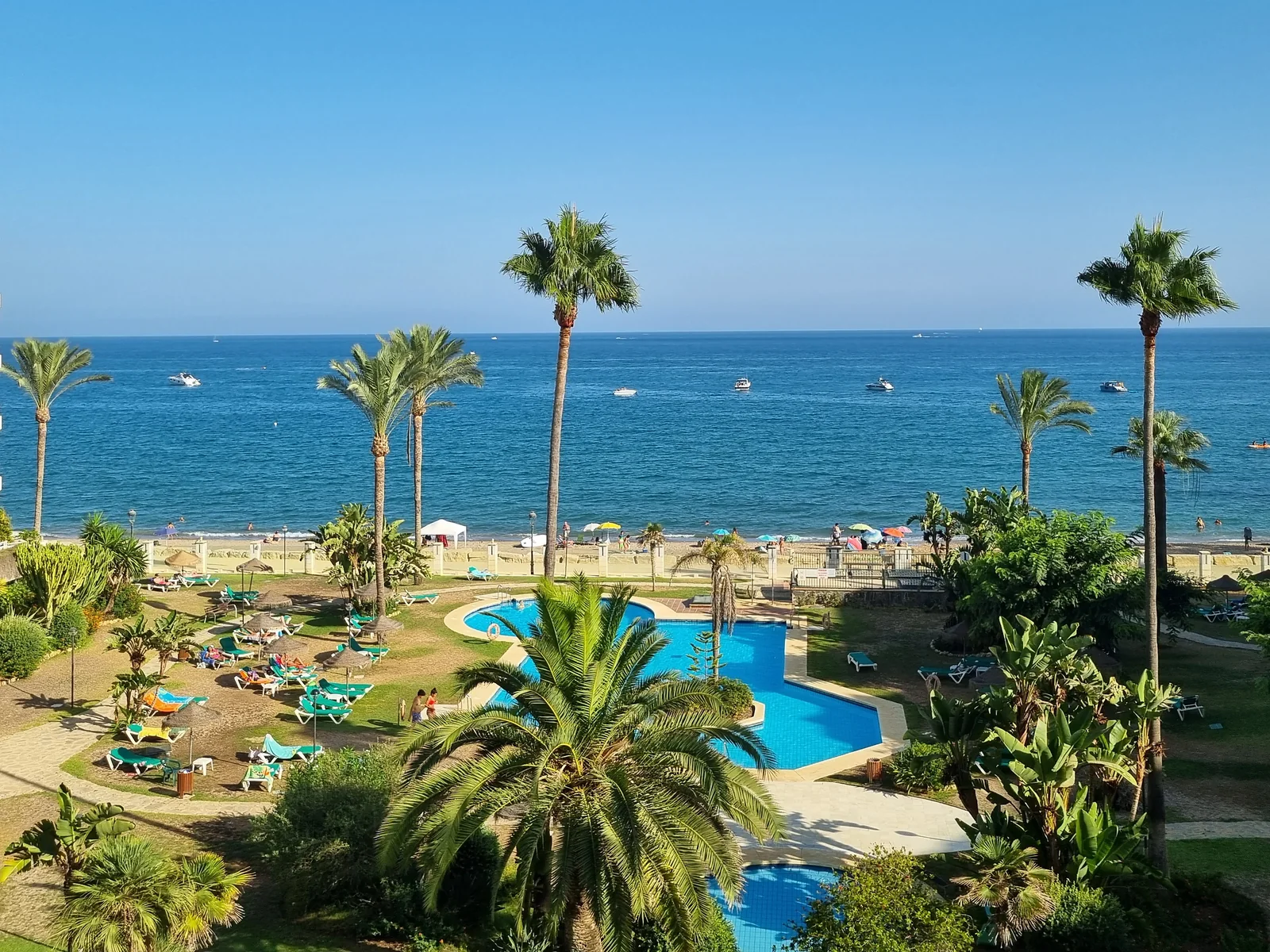 Vista del mar y la piscina entre palmeras desde la terraza