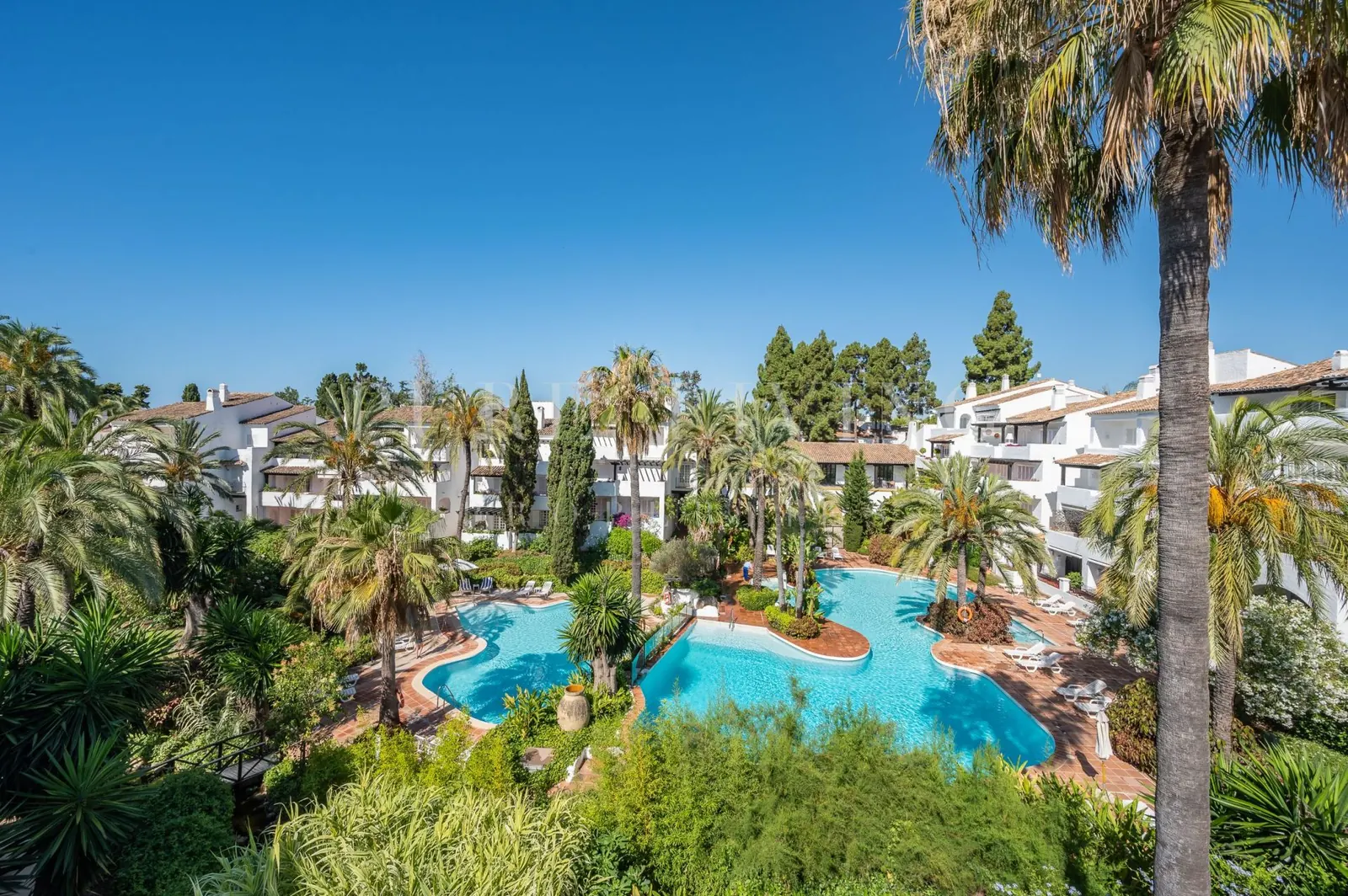 Piscinas entre palmeras en la urbanización